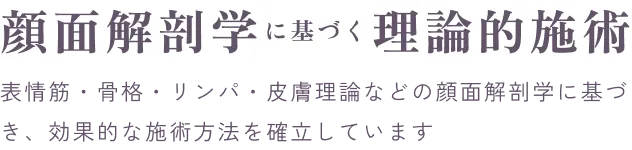顔面解剖学に基づく理論的施術。表情筋・骨格・リンパ・皮膚理論などの顔面解剖学に基づき、効果的な施術方法を確立しています。